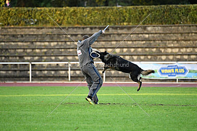 Venja vom Germanenadel