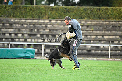 Venja vom Germanenadel