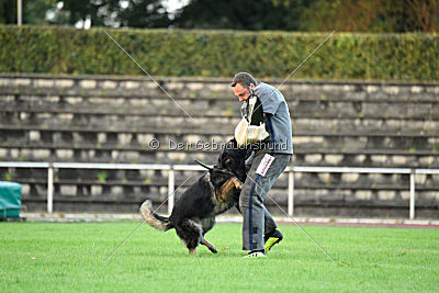 Venja vom Germanenadel