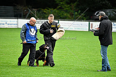 Viktoria von Hohenbeilstein