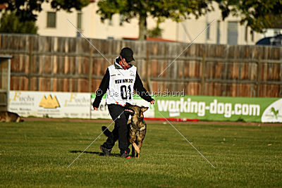 Vila von der Fasanerie2000