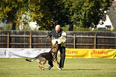 Vila von der Fasanerie2000