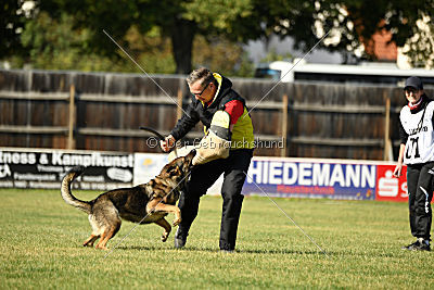 Vila von der Fasanerie2000