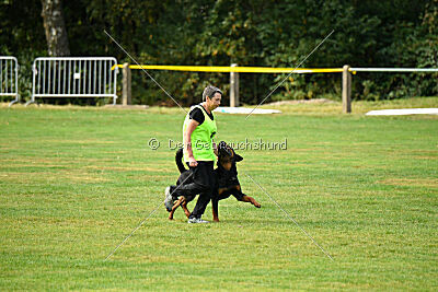 Vili vom Hause Neubrand