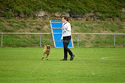 Villa on the Rocks von der Steinteichmühle