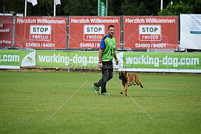 Vito vom Holzhäuser Flur