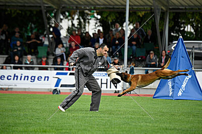 Vito vom Holzhäuser Flur