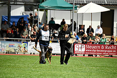 Vito vom Holzhäuser Flur