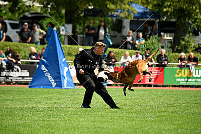 Vito vom Holzhäuser Flur