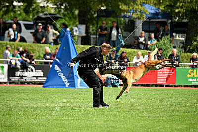 Vito vom Holzhäuser Flur