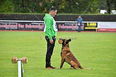 Vito vom Holzhäuser Flur