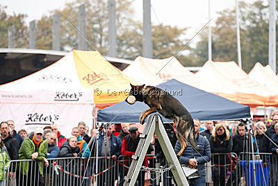 Vletcher aus der Birkenschäferei