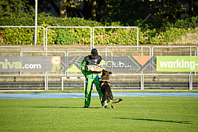 Vodan vom Leipheimer Moor