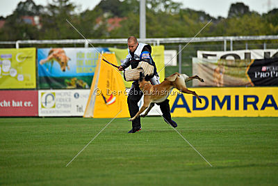 Vulcan vom Further Moor