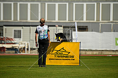 Waco von der Schiffslache