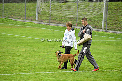 Wallyrla de L'origine de faucon rouge