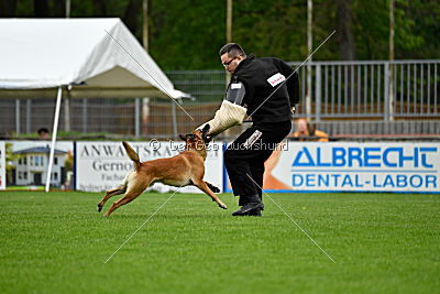 Waran vom Further Moor