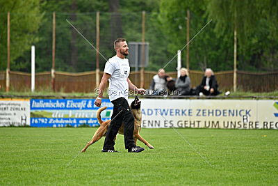 Waran vom Further Moor