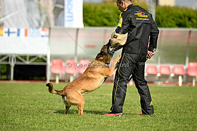 Way Out West Napoleon Bonaparte