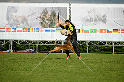 Way Out West Napoleon Bonaparte