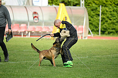 Way Out West Napoleon Bonaparte