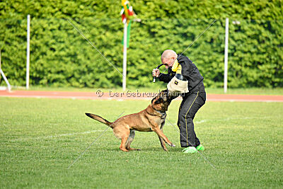 Way Out West Napoleon Bonaparte