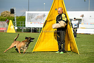 Way Out West Napoleon Bonaparte