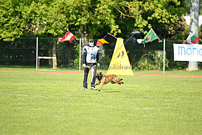 Way Out West Napoleon Bonaparte