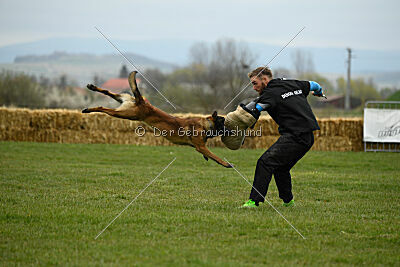 Way Out West Napoléon Banaparte