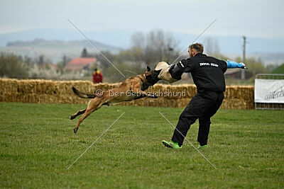 Way Out West Napoléon Banaparte