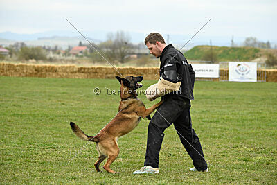 Way Out West Napoléon Banaparte