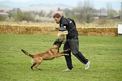 Way Out West Napoléon Banaparte