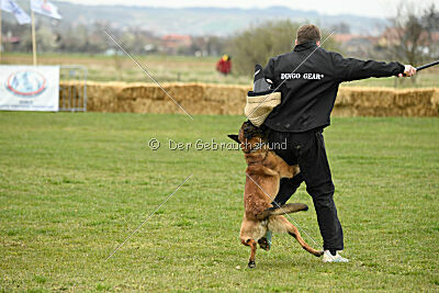 Way Out West Napoléon Banaparte