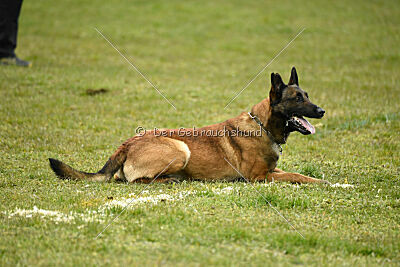 Way Out West Napoléon Banaparte