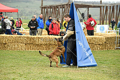 Way Out West Napoléon Banaparte
