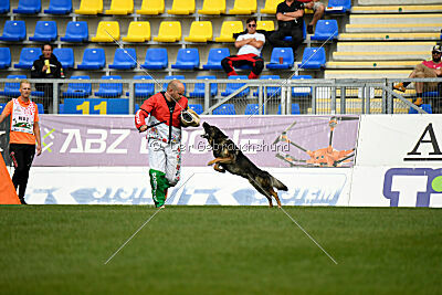 Wesco van Hamersslag