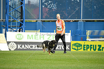 Wesco van Hamersslag