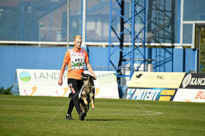 Wesco van Hamersslag