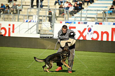 Wesco van Hamersslag