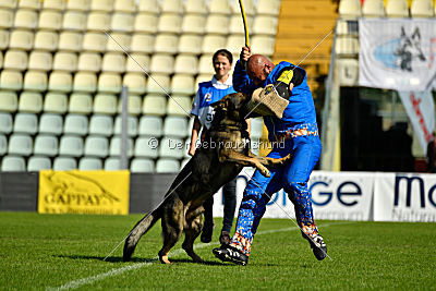 Westmac CymreigCorythus