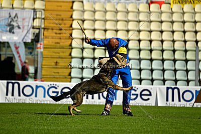 Westmac CymreigCorythus