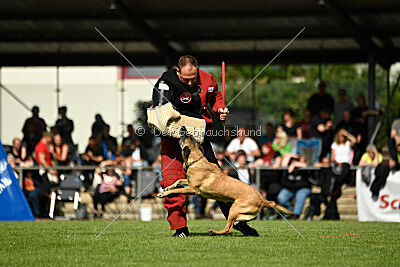Westwind Why Not von der Steinteichmühle