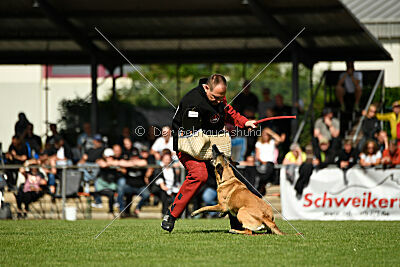 Westwind Why Not von der Steinteichmühle