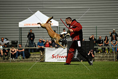 Westwind Why Not von der Steinteichmühle