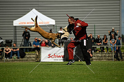 Westwind Why Not von der Steinteichmühle