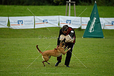 Westwind Why Not von der Steinteichmühle