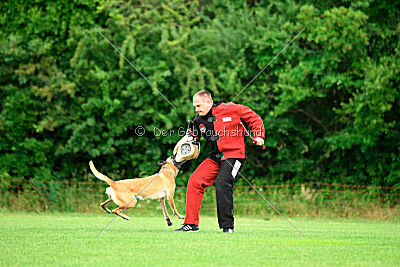 Whats Up von der Steinteichmühle