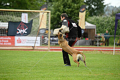 Whats Up von der Steinteichmühle