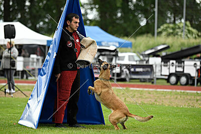 Whats Up von der Steinteichmühle
