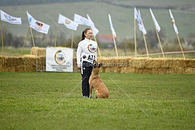 Whats Up von der Steinteichmühle